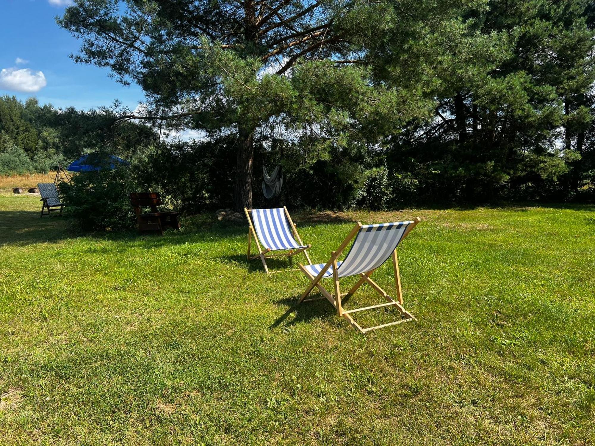 Holiday home Dom W Lesie Przy Stawach Dylewo